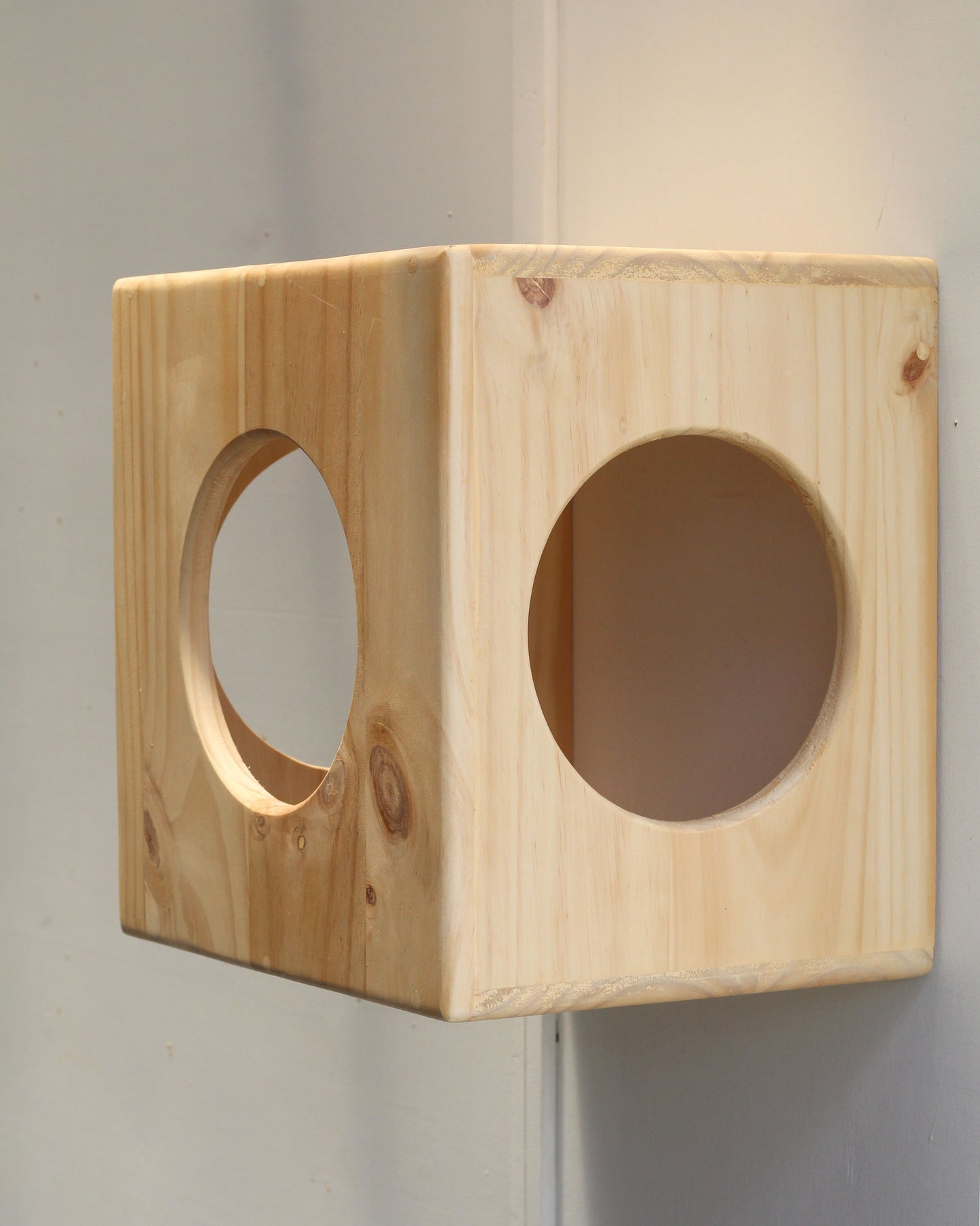 Cat Box