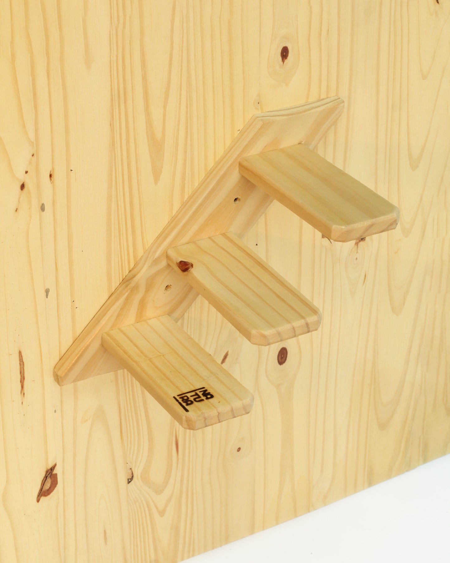 Set de Gimnasio Playground