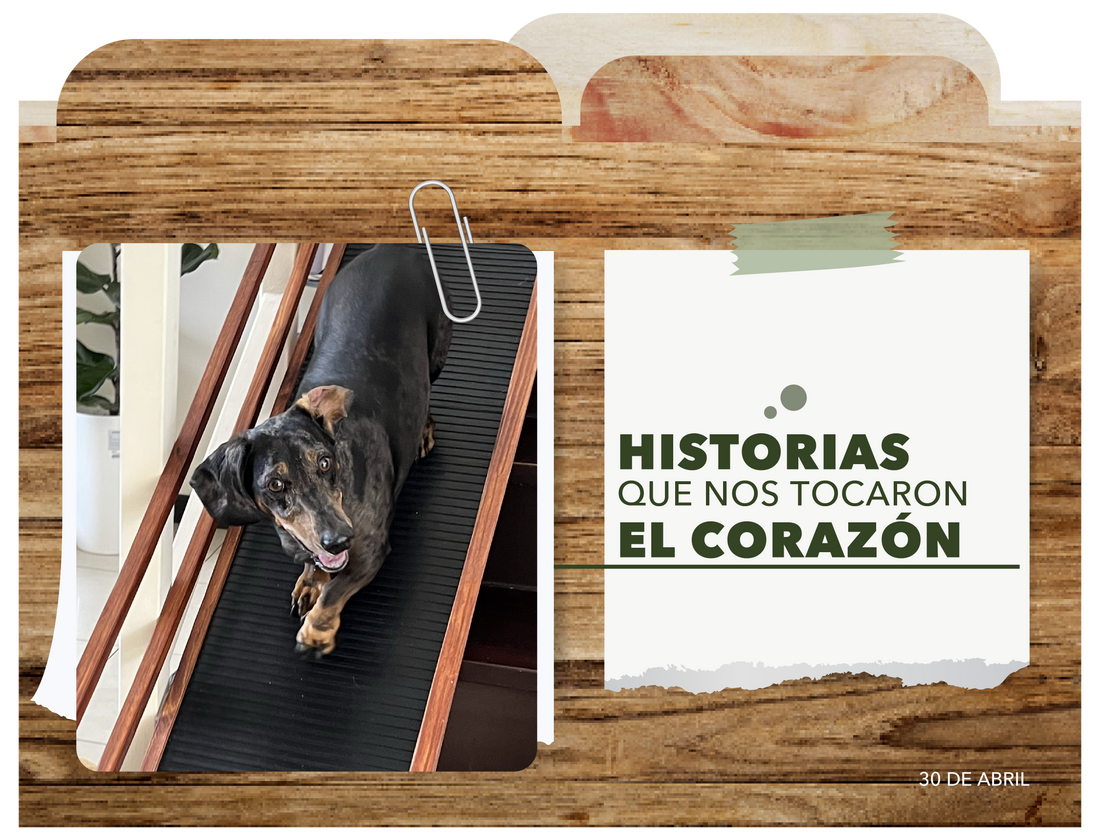 Historias que nos tocaron el corazón