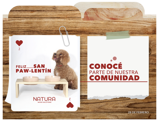 Amor en Comunidad
