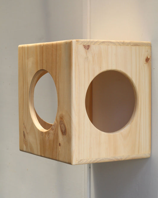 Cat Box