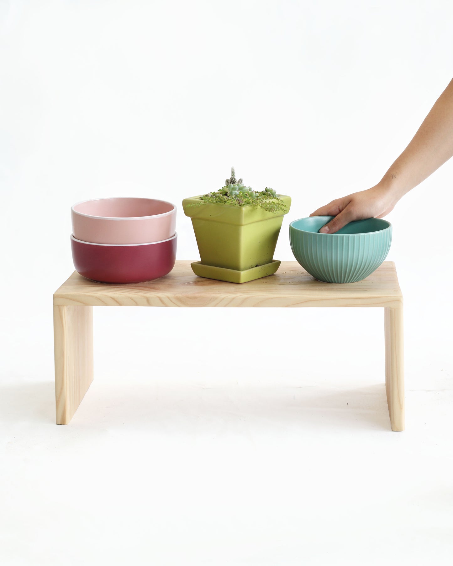 Mesa Akita